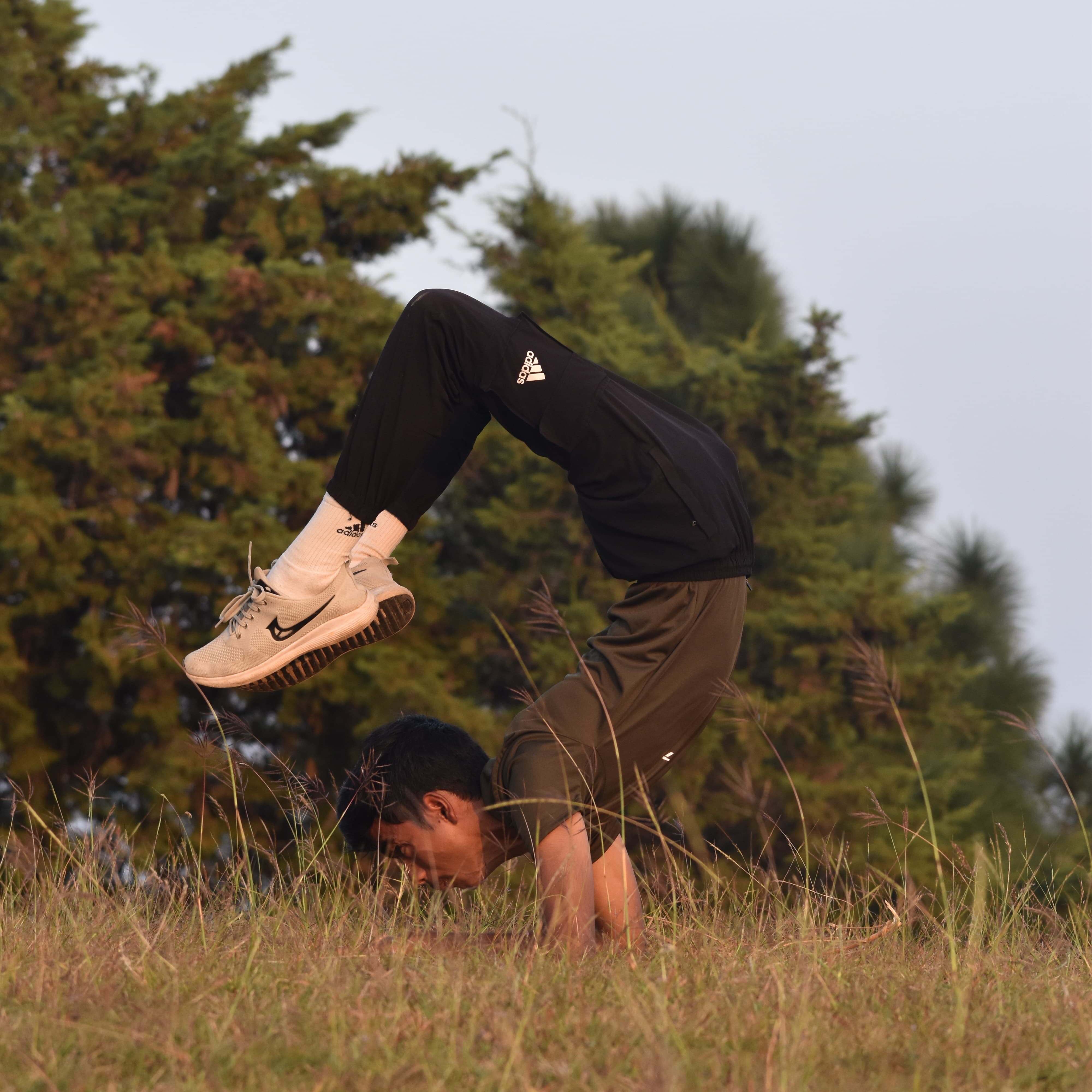 Hath Yoga Pose
