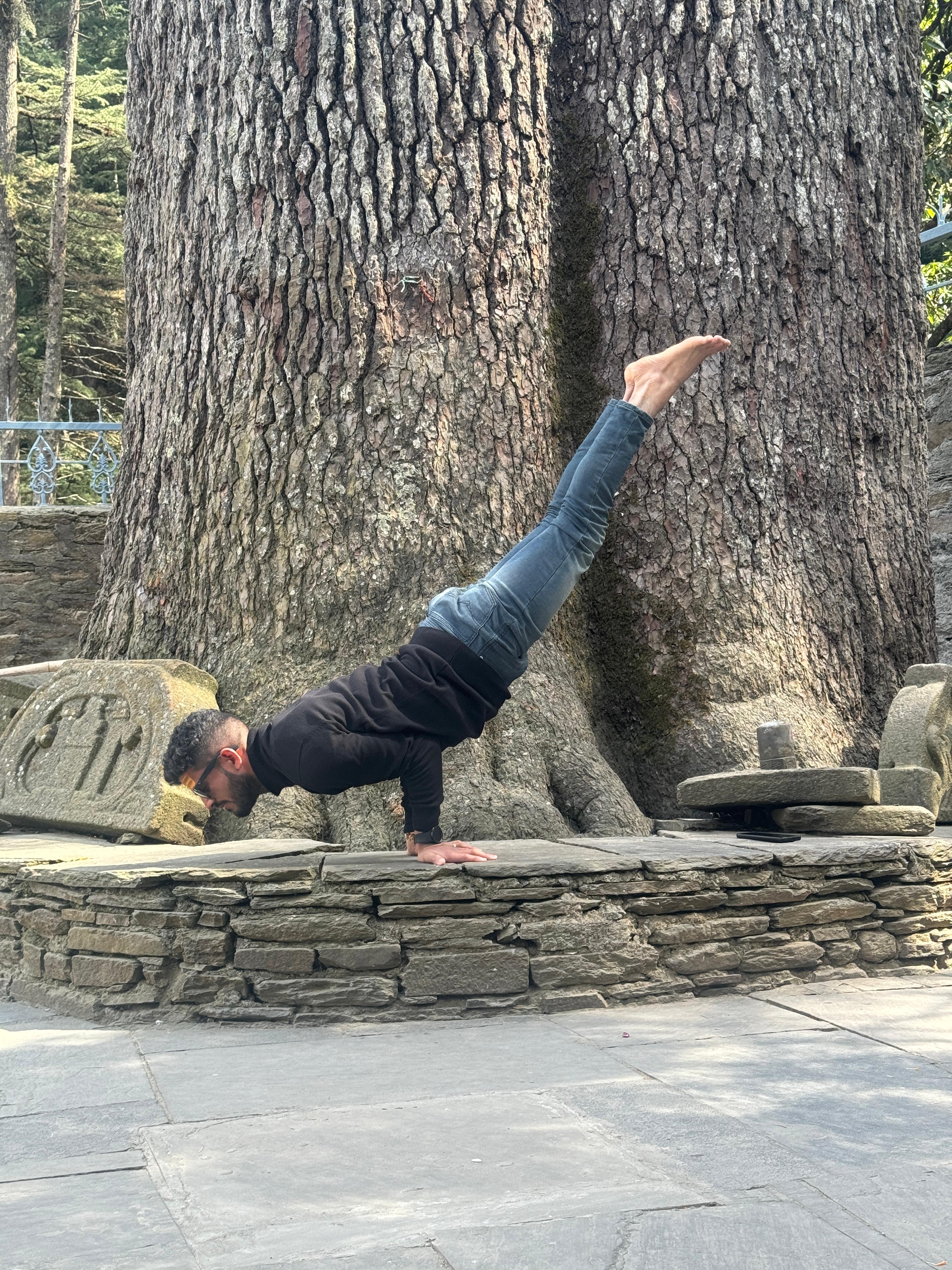 Vinyasa Yoga Pose
